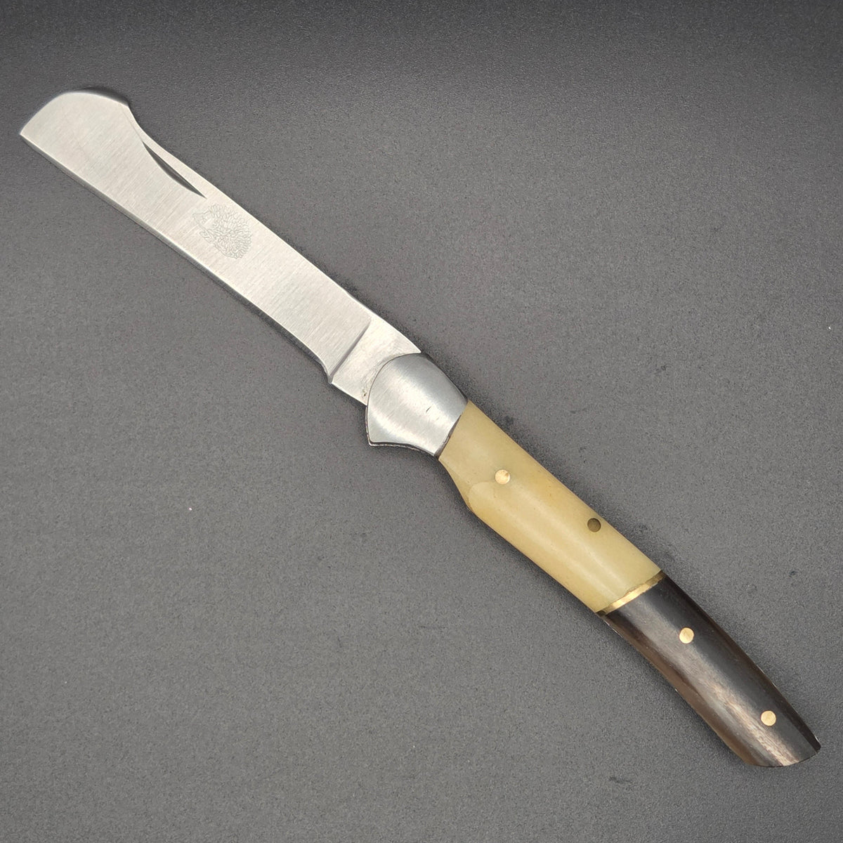 petit couteau greffoir ouvert posé à plat muni d'un manche en corne et os. ce couteau est de qualité deuxième choix