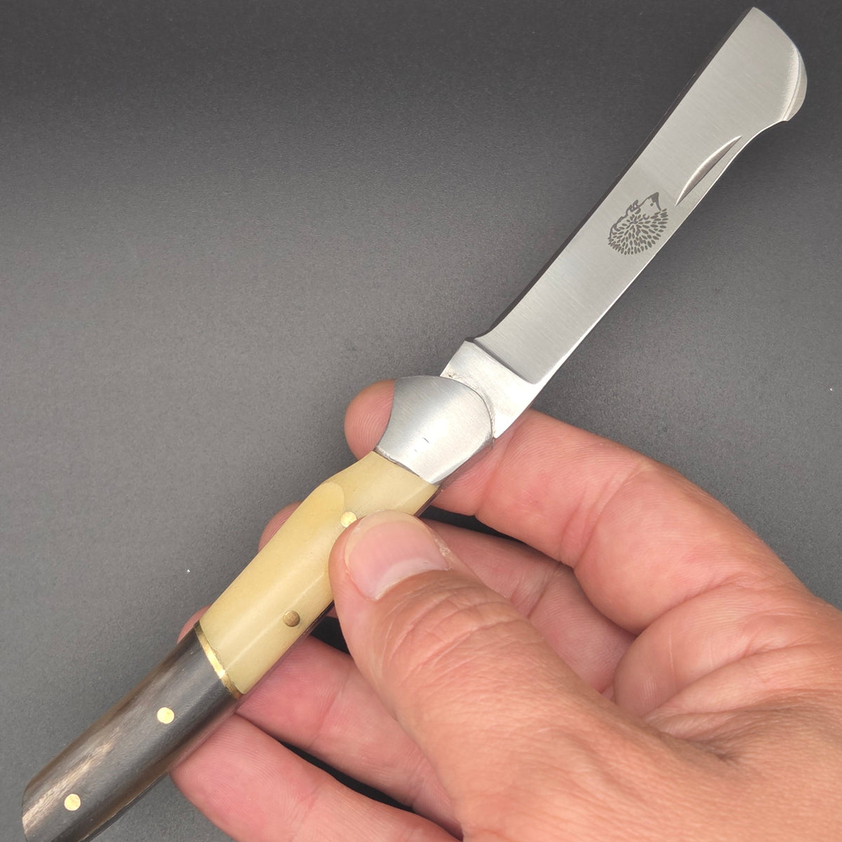Petit couteau greffoir pliant en position ouvert muni d'un manche en corne et os. On peut y voir un hérisson gravé sur la lame