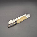 petit couteau greffoir pliant avec manche en corne et os posé à plat en position fermé. ce greffoir est de qualité deuxième choix.