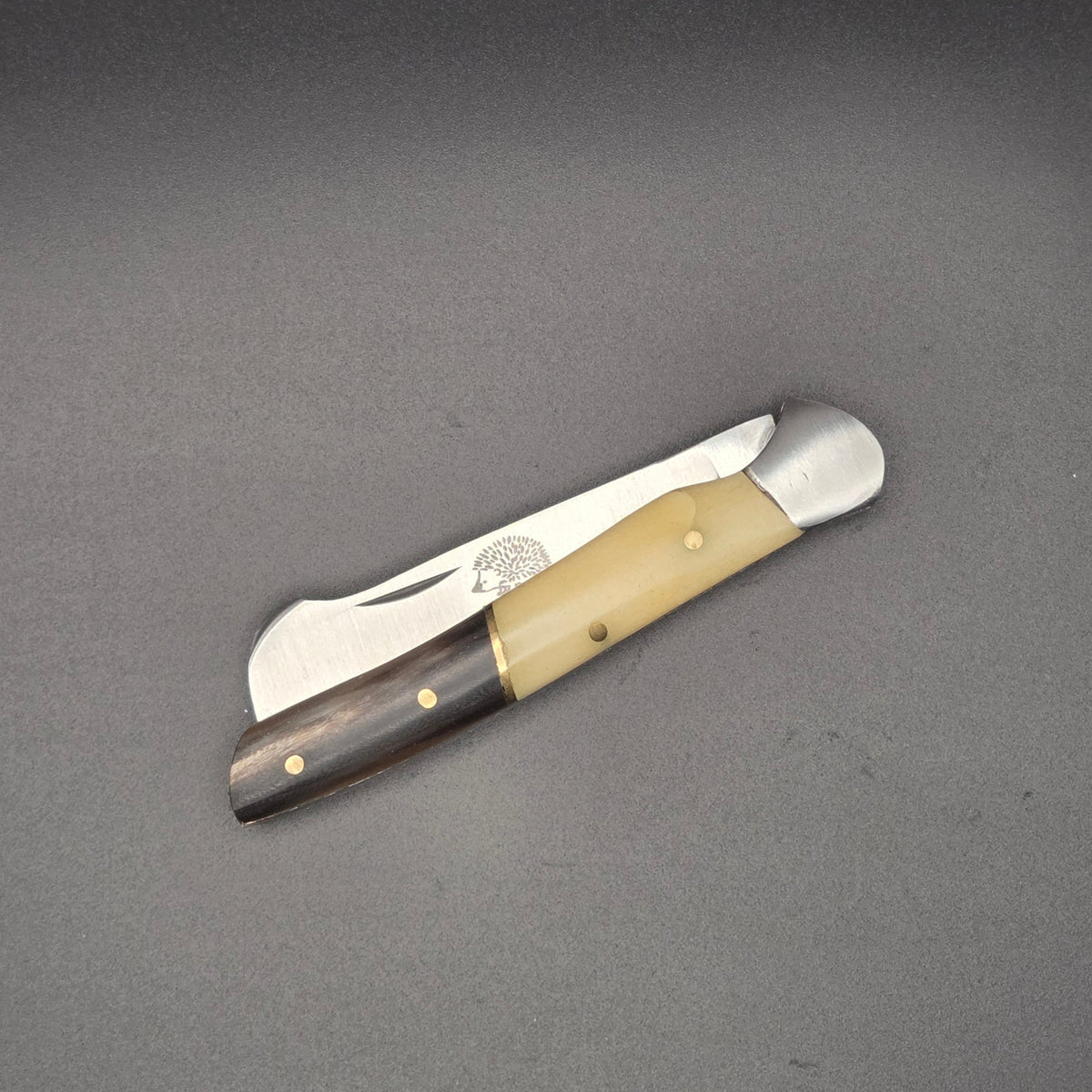 petit couteau greffoir pliant avec manche en corne et os posé à plat en position fermé. ce greffoir est de qualité deuxième choix.