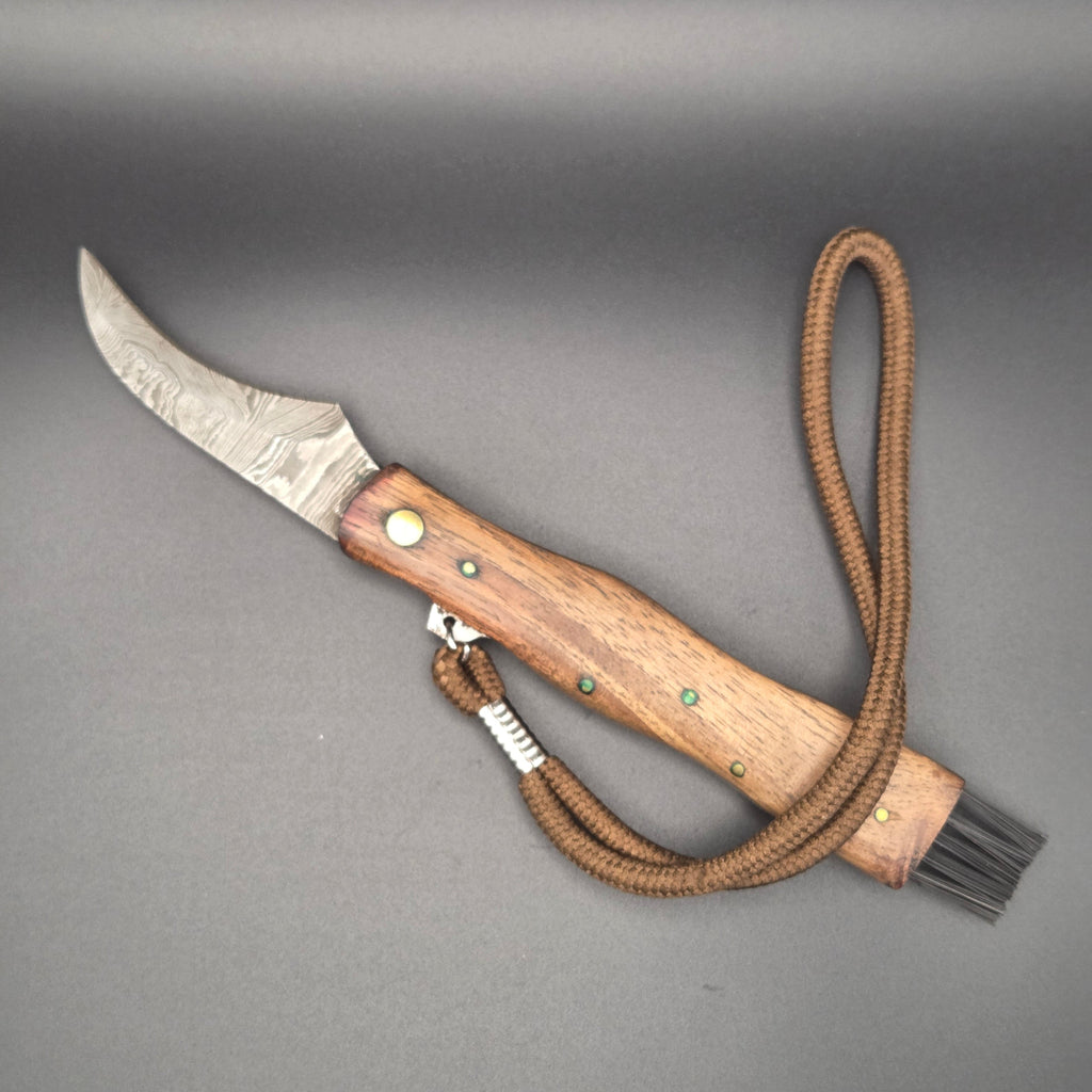 couteau champignon pliant posé à plat en position ouvert. Il est muni d'une brosse et d'une corde pour le tenir. Lame en damas et qualité globale de second choix