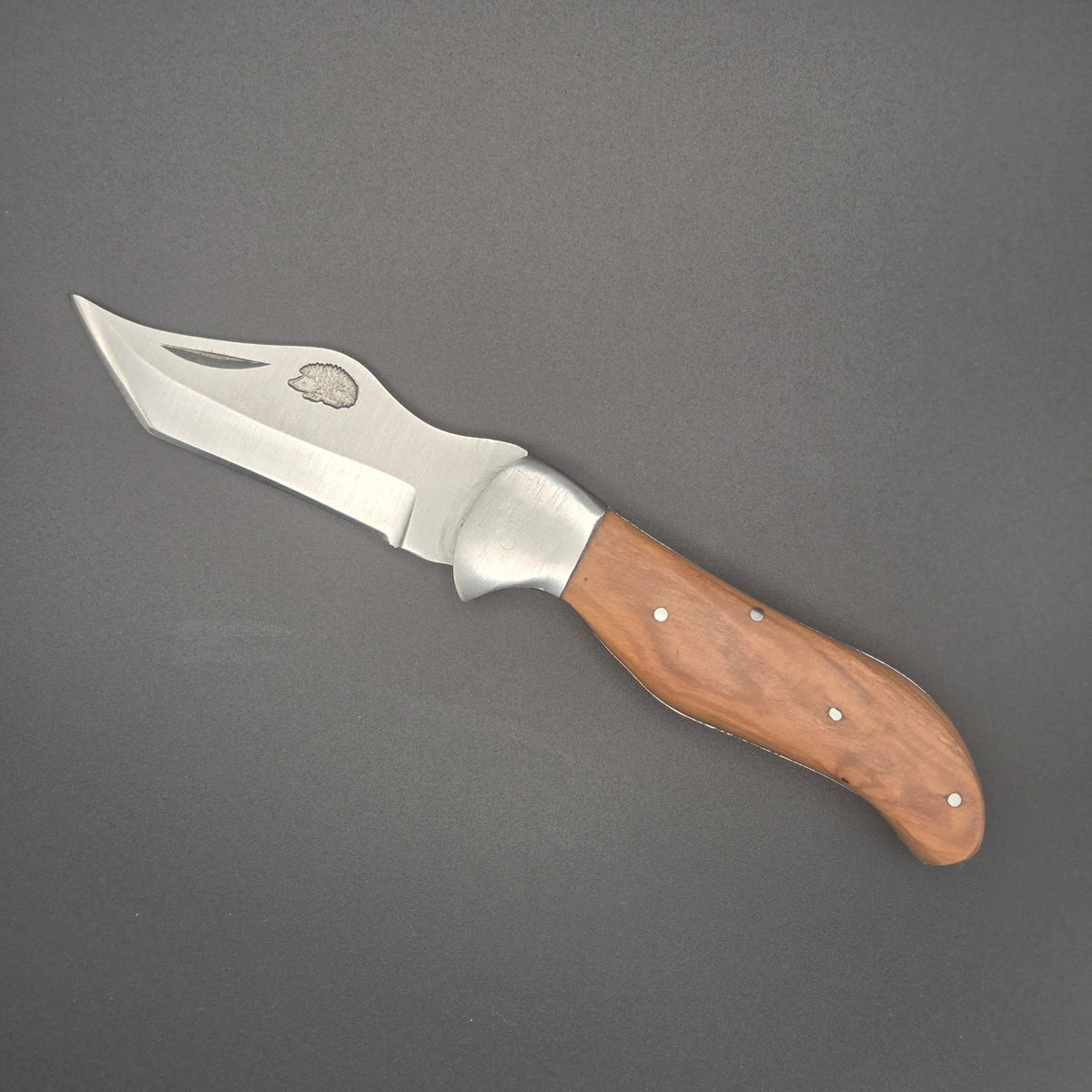 couteau robuste et pliant avec un manche en teck. Il est posé à plat et est ouvert. On voit la lame avec un hérisson gravé dessus. La qualité est du second choix
