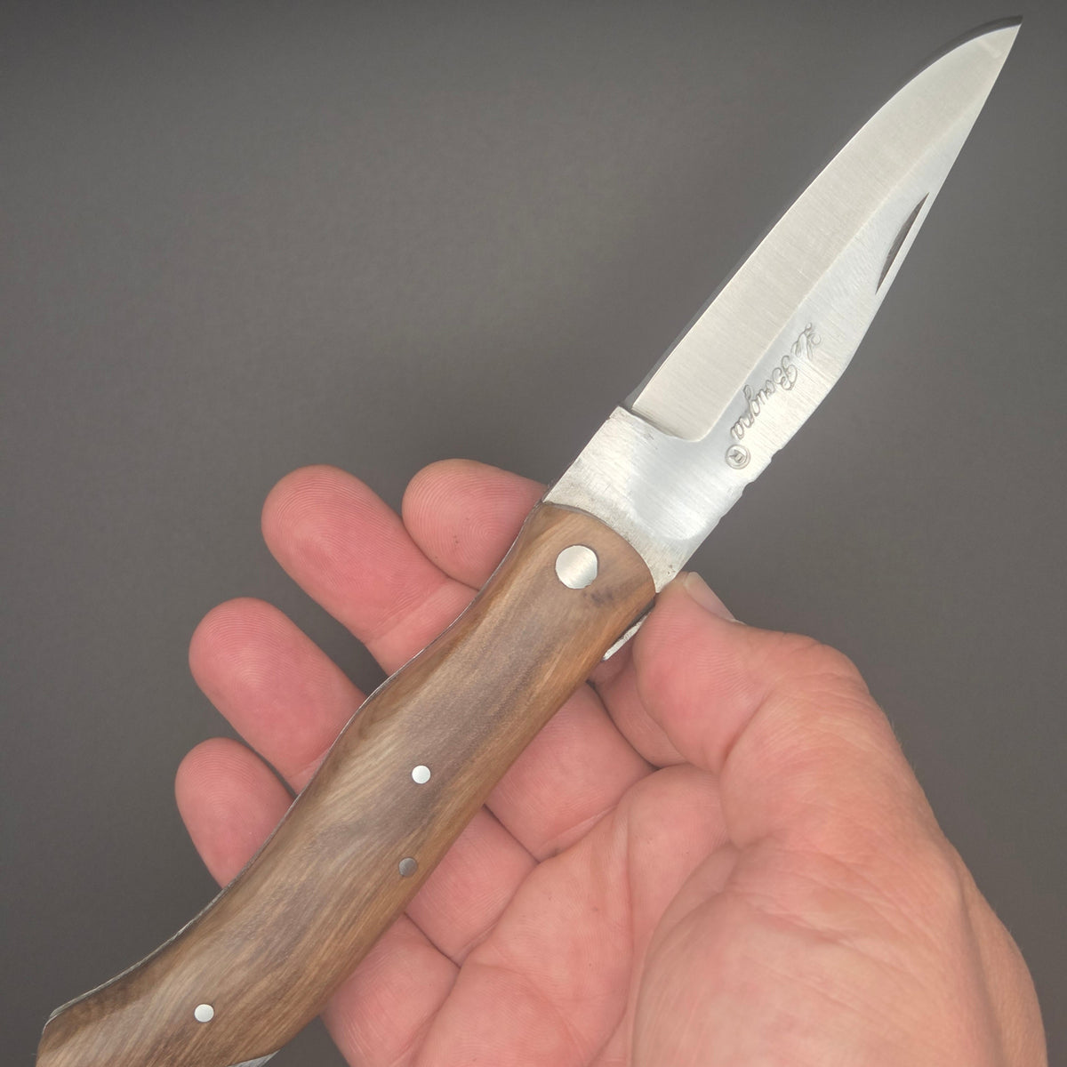 couteau rustique pliant avec manche en teck. Il est tenu dans une main en position ouvert. 
