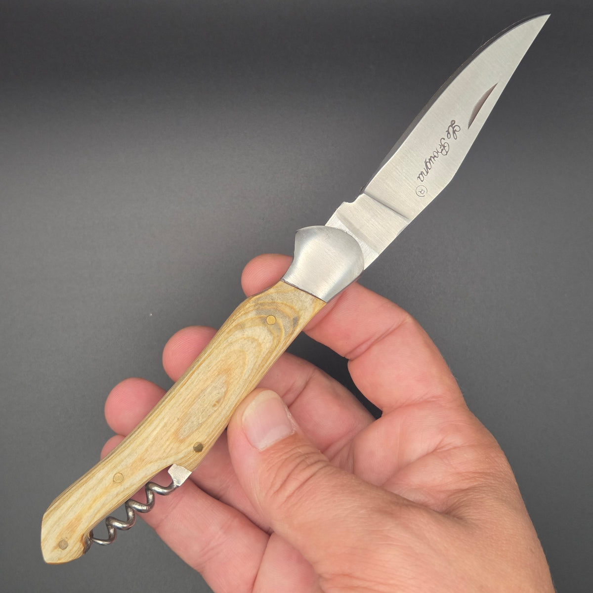 Couteau utilitaire pliant avec un manche en tek blanchi tenu dans une main en position ouvert.
