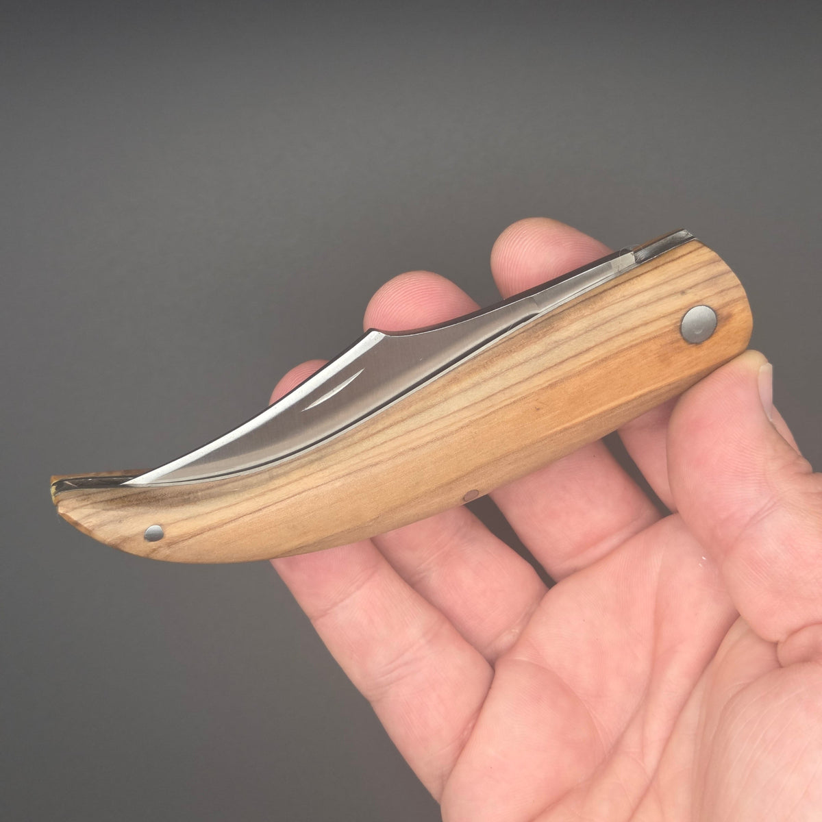 Couteau utilitaire pliant Shark tenu dans une main en position fermé. Son manche est en bois de teck