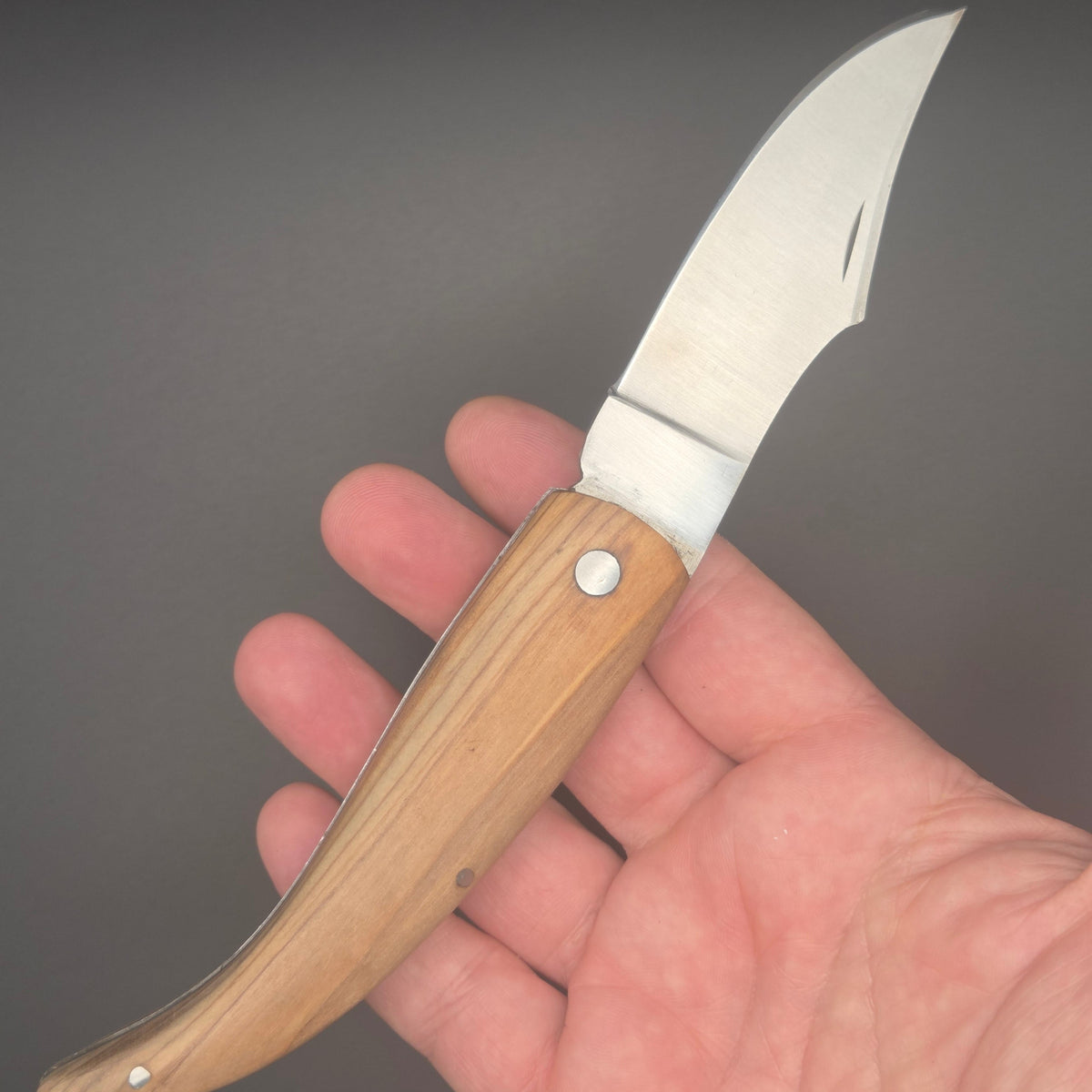 couteau shark utilitaire pliant en position ouvert tenu dans une main. Manche en teck.